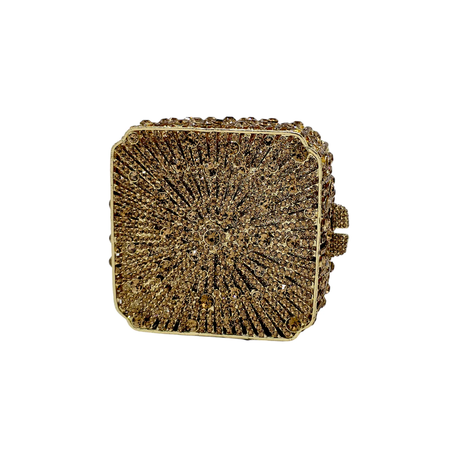 Elegant Square Clutch
