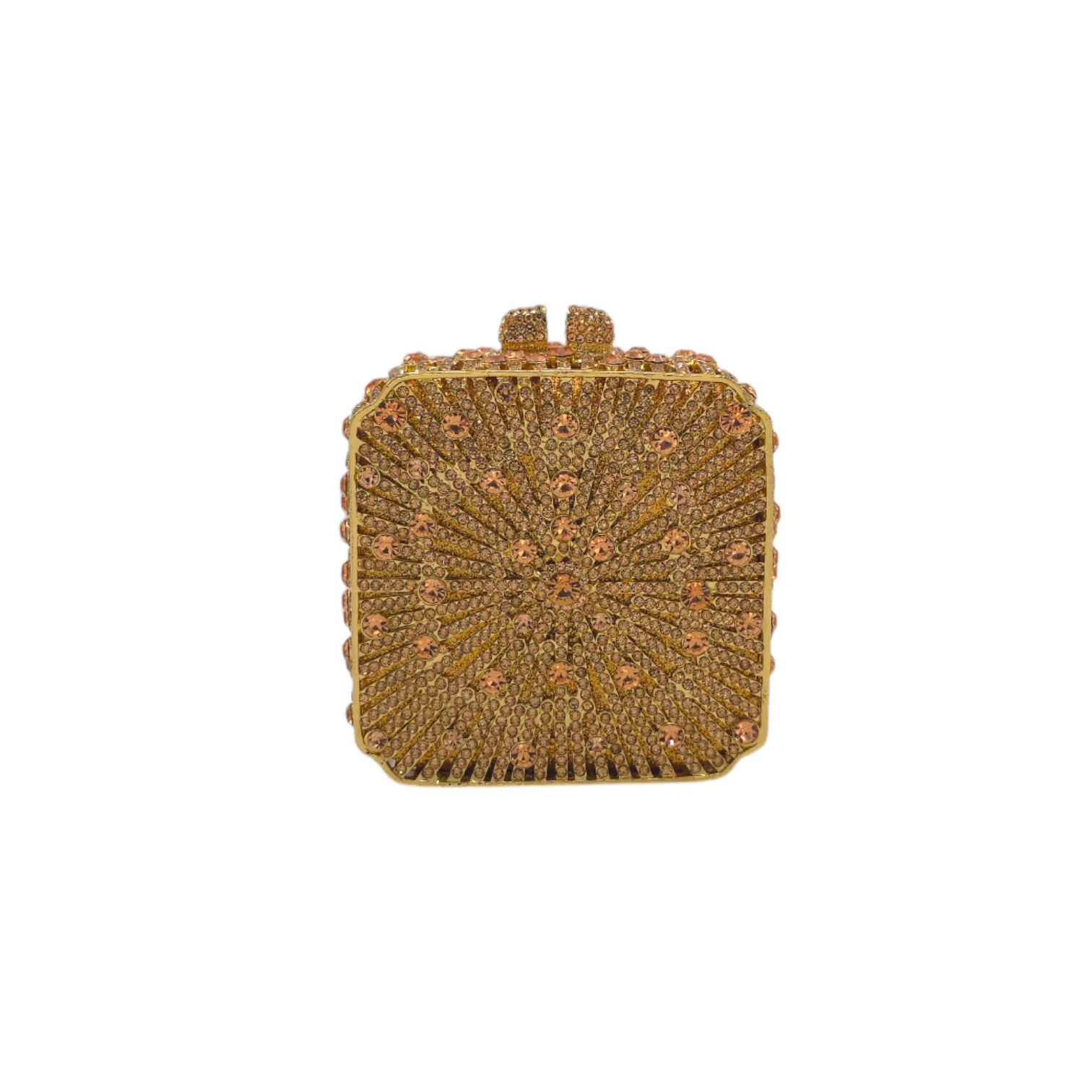 Elegant Square Clutch