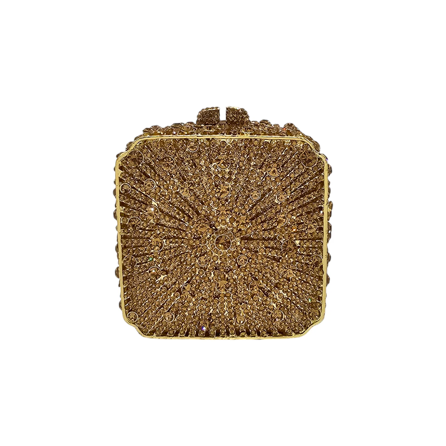 Elegant Square Clutch