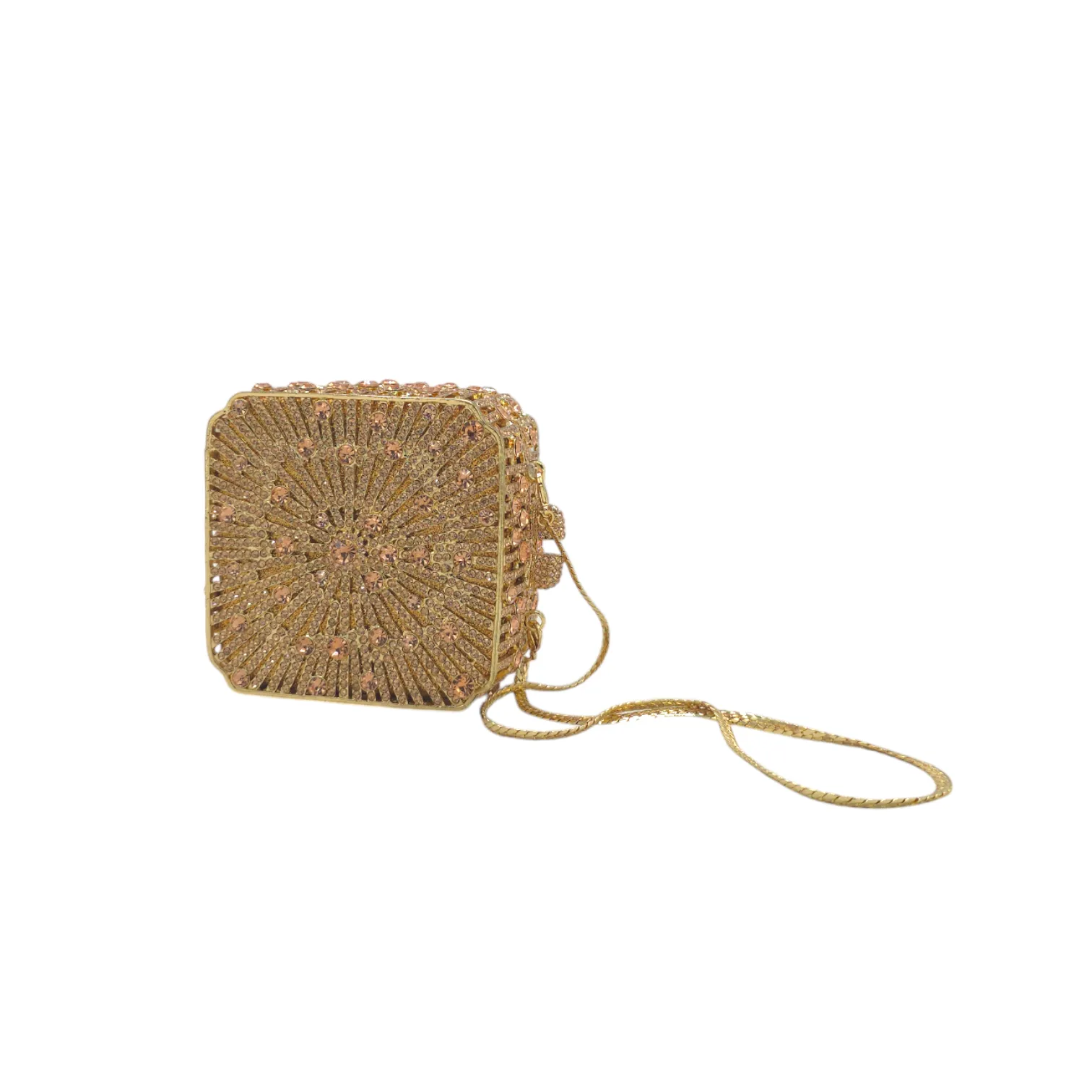 Elegant Square Clutch