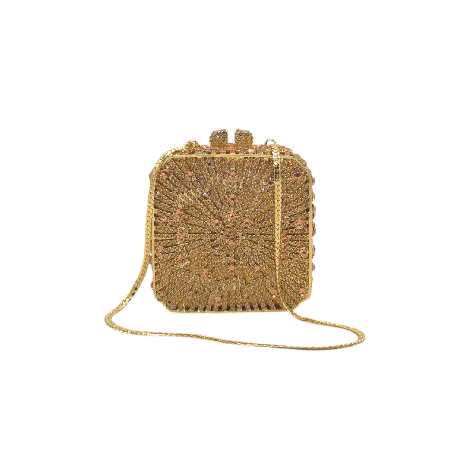 Elegant Square Clutch